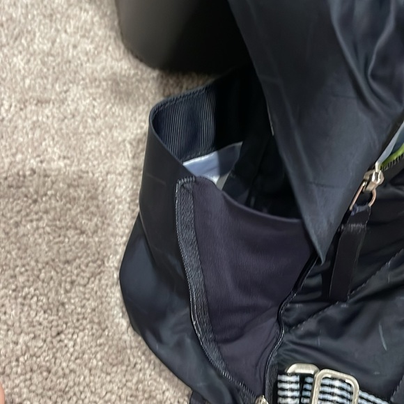 Lululemon Backpack - Picture 7 of 13